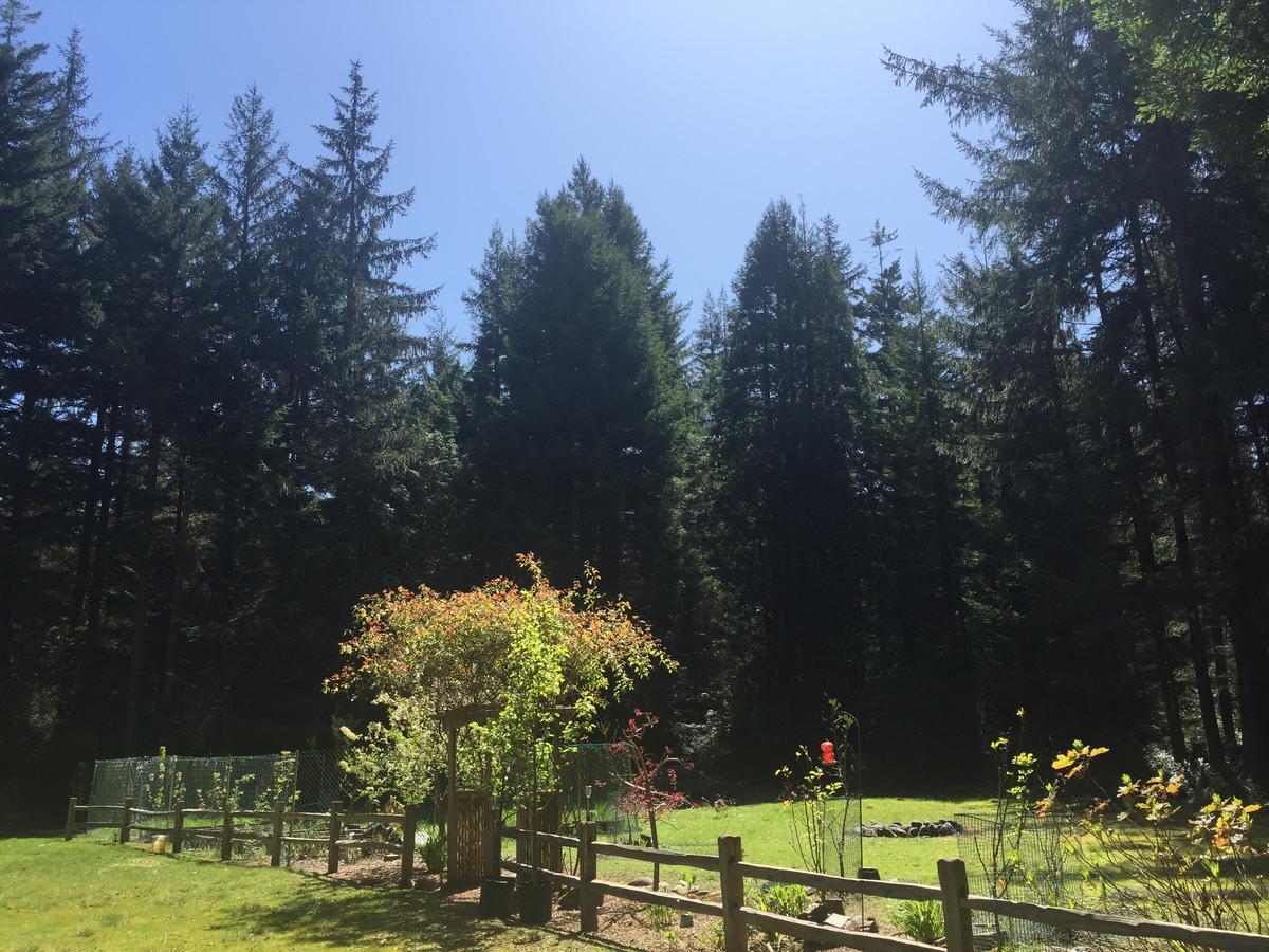 كريسينت سيتي Redwood Forest المظهر الخارجي الصورة