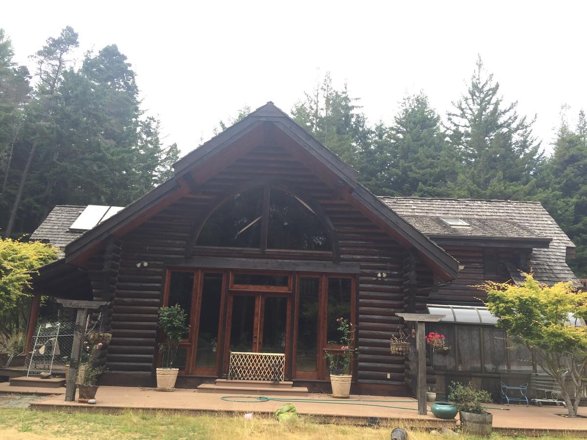 كريسينت سيتي Redwood Forest المظهر الخارجي الصورة